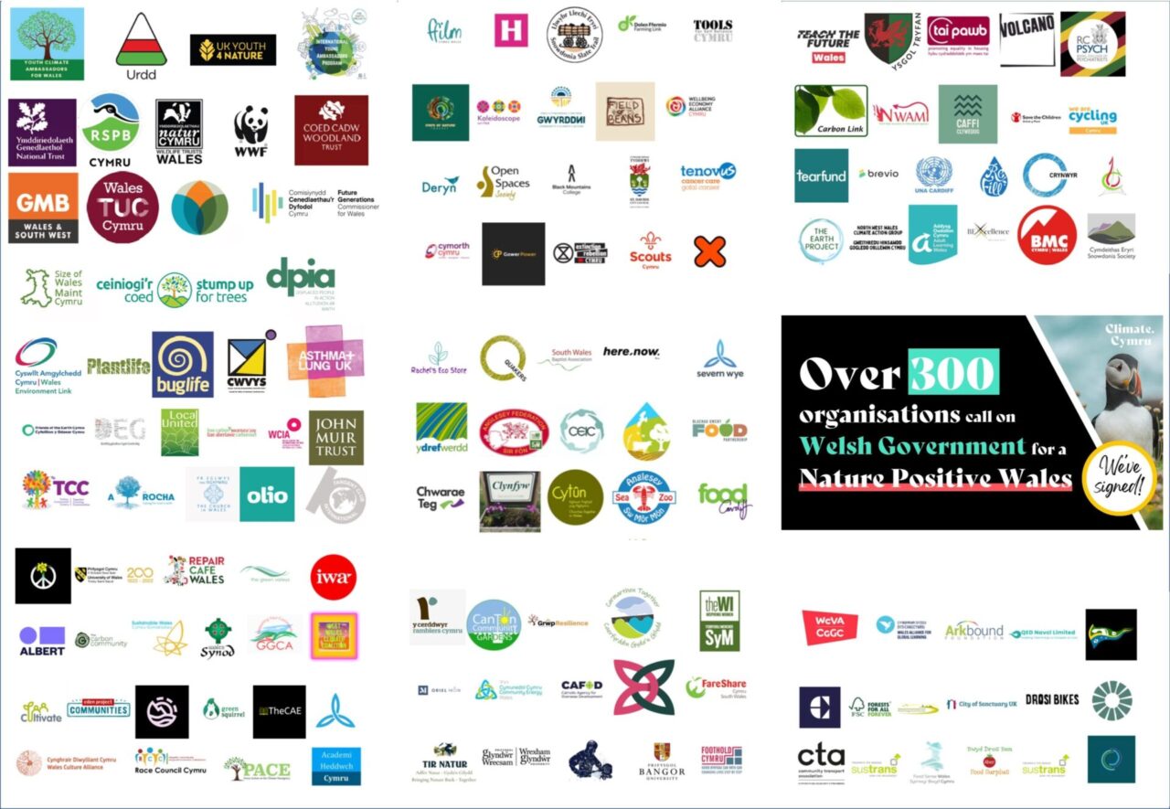 300 organisations from all corners and sectors of Wales