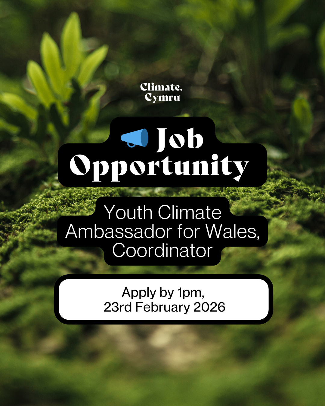 Job Opportunity - Youth Climate Ambassadors for Wales, Coordinator